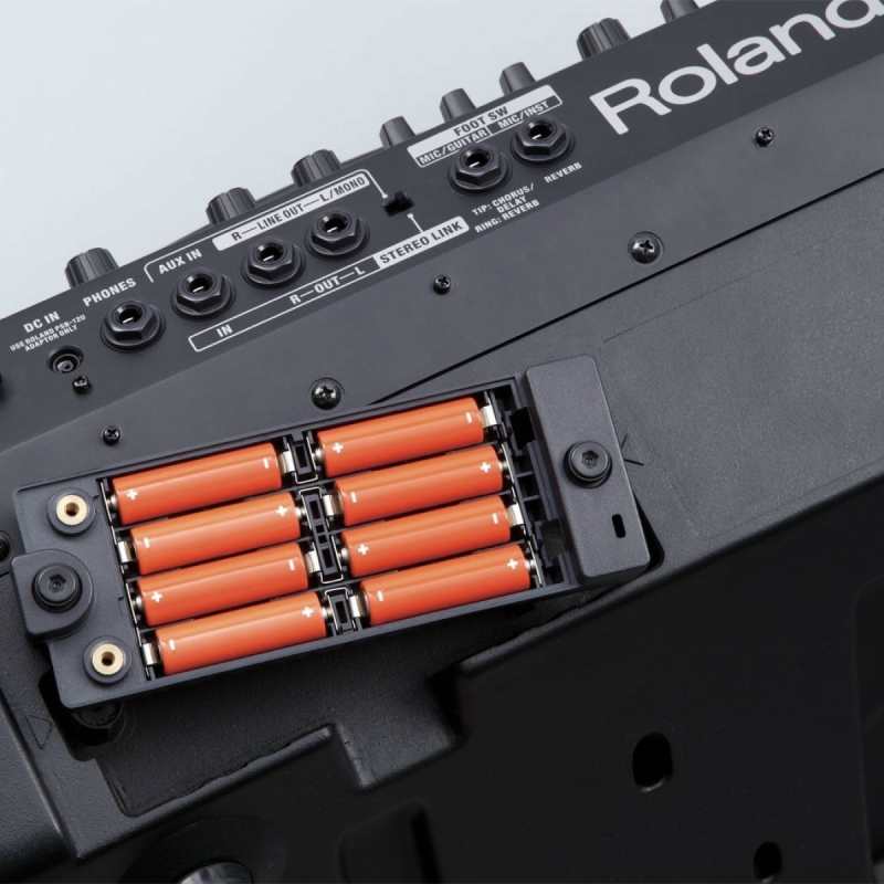 Roland Cube Street EX Battery Powered Stereo PA Amplifier (25w+25w) - Image 4