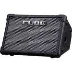 Roland Cube Street EX Battery Powered Stereo PA Amplifier (25w+25w)