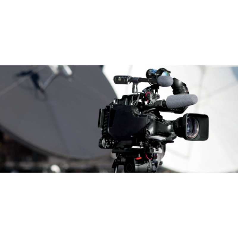 Shure VP64A Omnidirectional Microphone with 200mm Handle - Image 4