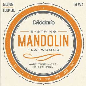 D'Addario EFW74 Flatwound Mandolin Strings (Medium Tension, Loop End)