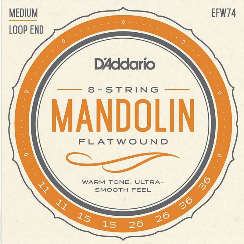 D'Addario EFW74 Flatwound Mandolin Strings (Medium Tension, Loop End)
