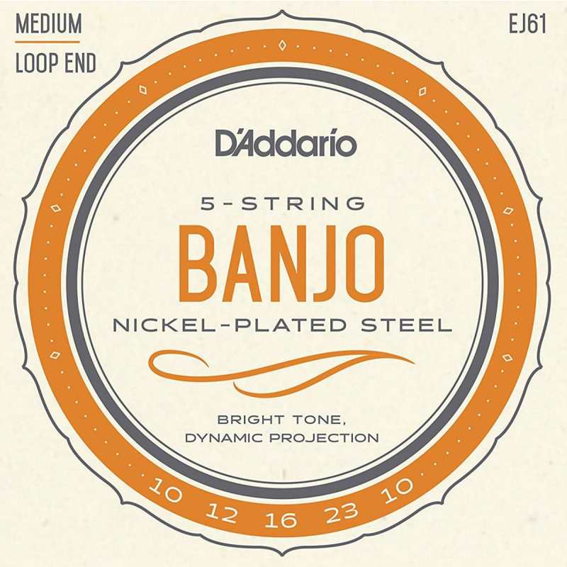 D'Addario EJ61 Banjo Strings (Medium Tension, Loop End)
