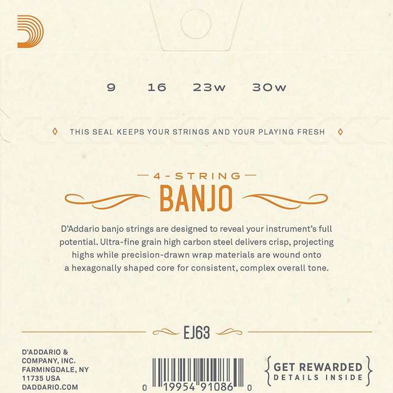 D'Addario EJ63 Tenor Banjo Strings (Medium Tension, Loop End) - Image 2