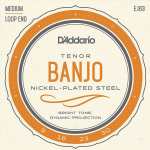 D'Addario EJ63 Tenor Banjo Strings (Medium Tension, Loop End)
