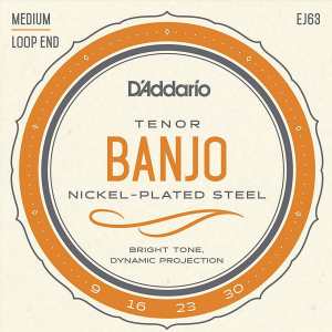 D'Addario EJ63 Tenor Banjo Strings (Medium Tension, Loop End)
