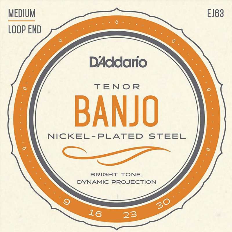 D'Addario EJ63 Tenor Banjo Strings (Medium Tension, Loop End)