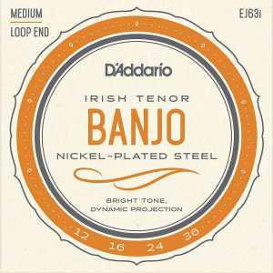 D'Addario EJ63i Irish Tenor Banjo Strings (Medium Tension, Loop End)