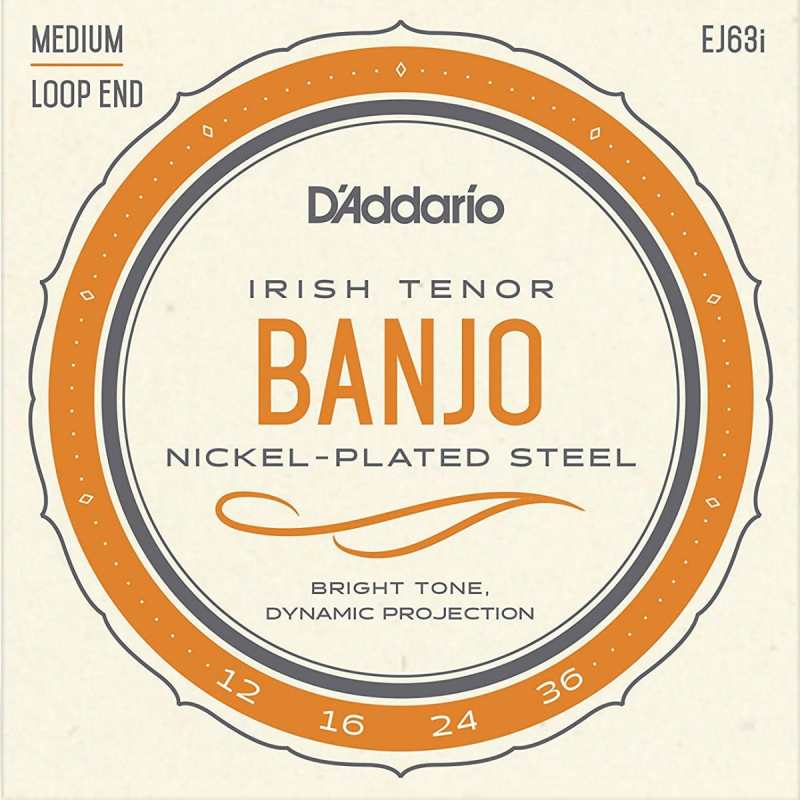 D'Addario EJ63i Irish Tenor Banjo Strings (Medium Tension, Loop End)