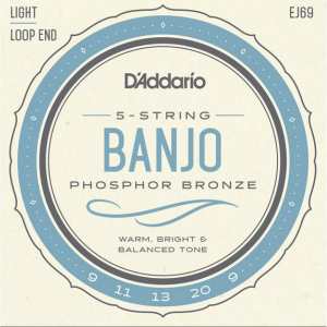D'Addario EJ69 Banjo Strings (Light Tension, Loop End)