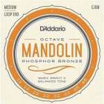 D'Addario EJ80 Octave Mandolin Strings (Loop End, Medium Tension)