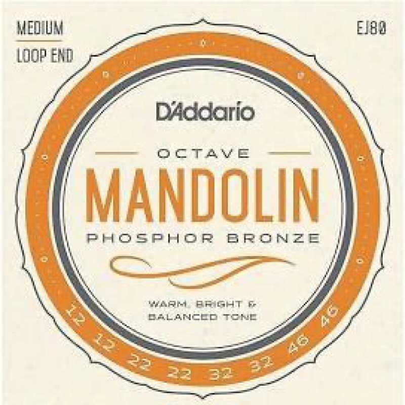 D'Addario EJ80 Octave Mandolin Strings (Loop End, Medium Tension)