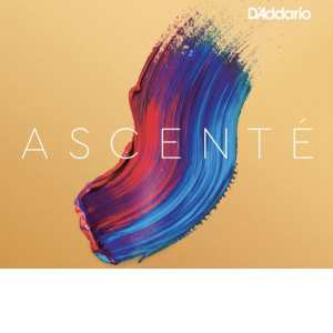 G String - 3/4 Size D'Addario Ascente Medium Tension Violin Strings (A314 3/4M)