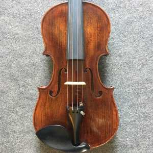 Stentor 4/4 Arcadia Antiqued Violin -  Instrument Only (1884A)