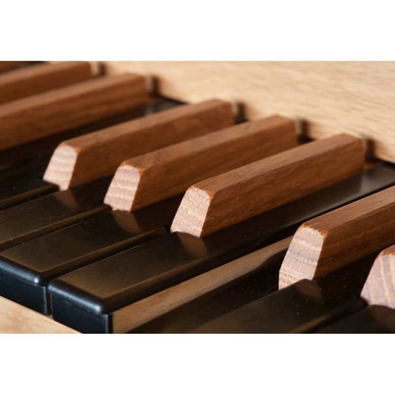 Content Mondri 354 Organ, 30 Note Radiating Concave Pedalboard & Bench - Image 6