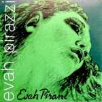 G String - 4/4 Size Pirastro Evah Pirazzi Medium Tension Violin Strings (419421 4/4)