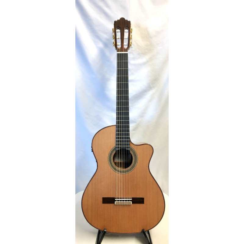 Ramirez 2NCWE Classical Guitar with Hard Case - Image 6