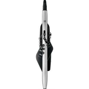 Roland AE30 Aerophone Pro Digital Wind Instrument