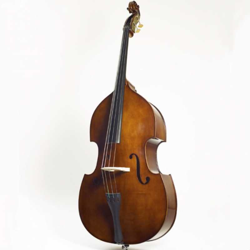 Stentor 4/4 Student 2 Double Bass Outfit with Bow & Padded Cover (1438A) - Image 4