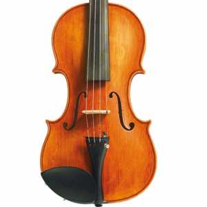 Stentor 4/4 Amati Model Violin - Instrument Only (1995A)
