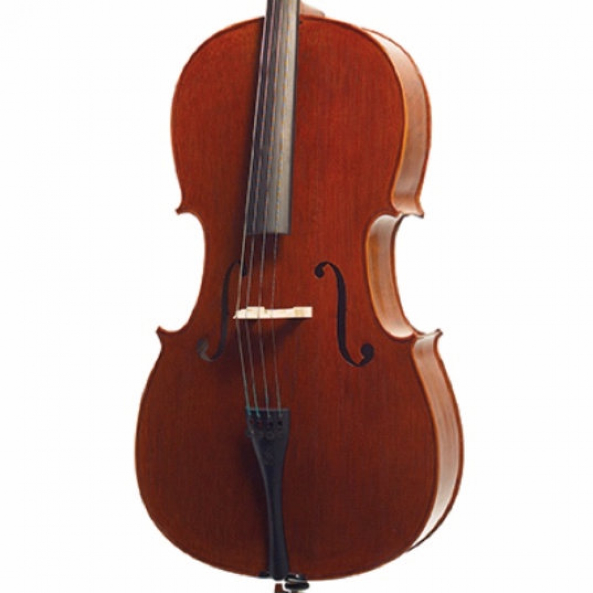 3 4 Size Stentor Elysia Cello 1591C Promenade Music