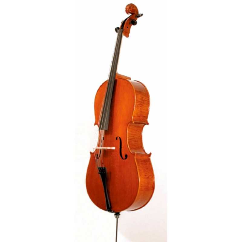 Stentor 4/4 Elysia 'English Model' Cello - Instrument Only (1594) - Image 2