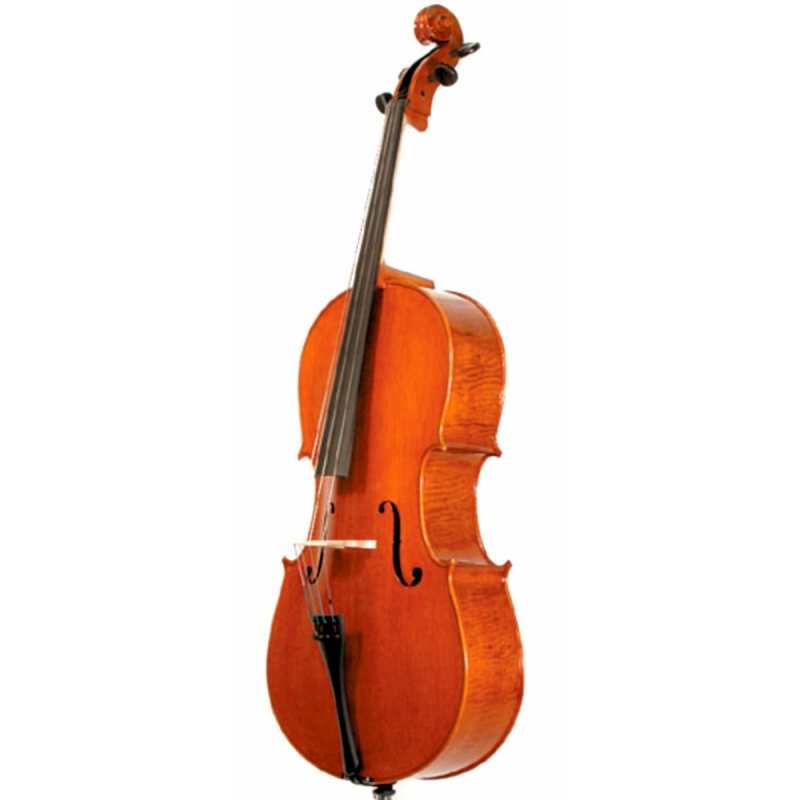 Stentor 4/4 Elysia 'English Model' Cello - Instrument Only (1594) - Image 3