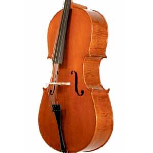 Stentor 4/4 Elysia 'English Model' Cello - Instrument Only (1594)