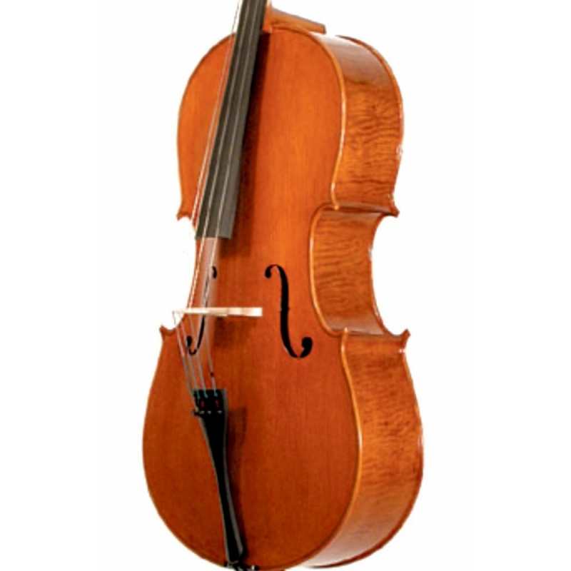 Stentor 4/4 Elysia 'English Model' Cello - Instrument Only (1594)