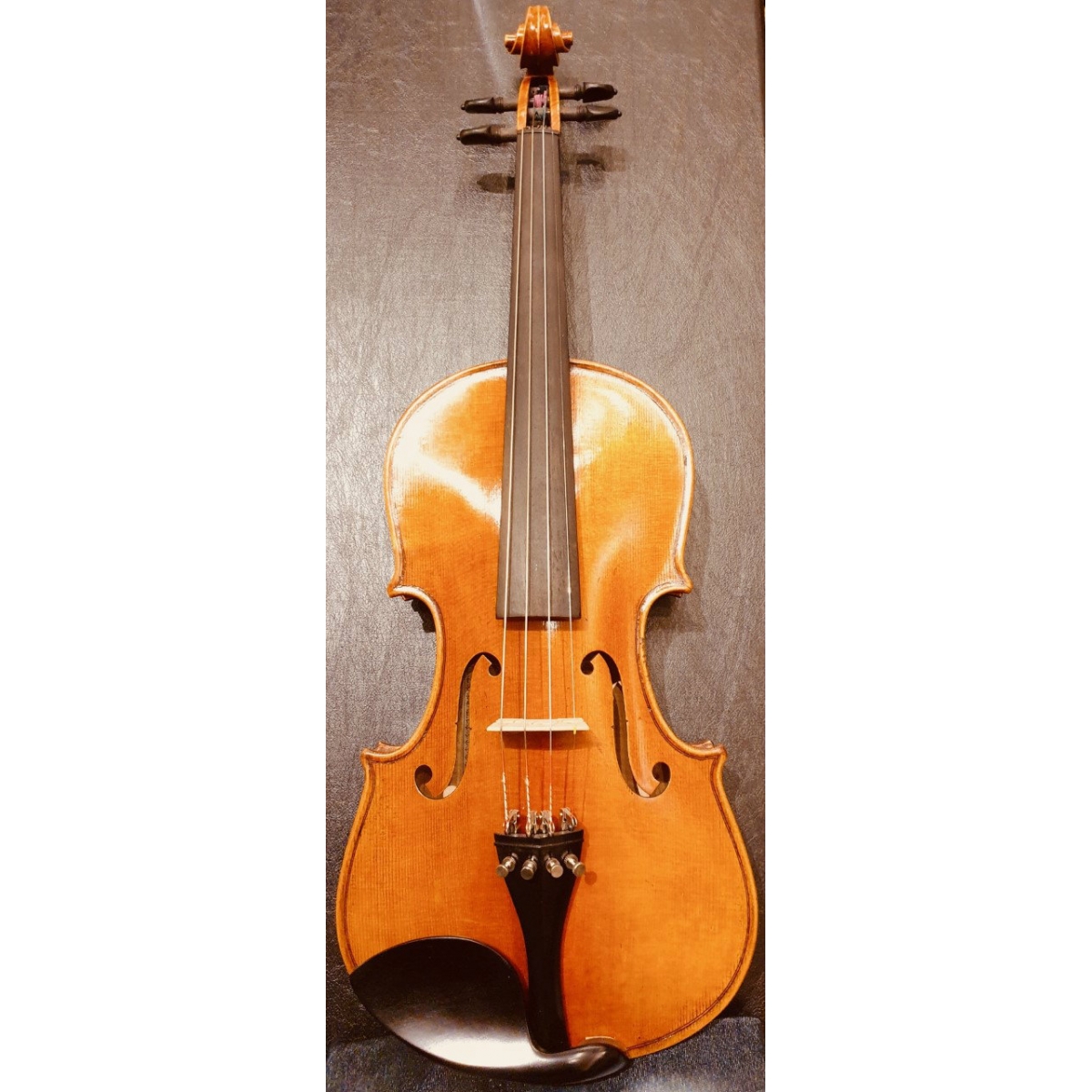 Stentor master violin sales