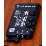 ToneWoodAmp TWAmp Solo Package - Right Hand Version