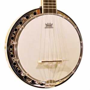 Barnes & Mullins UBJ1 Banjo Ukulele