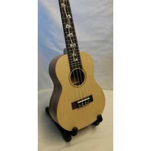 Giannini Custom Concert Ukulele & Black Bag