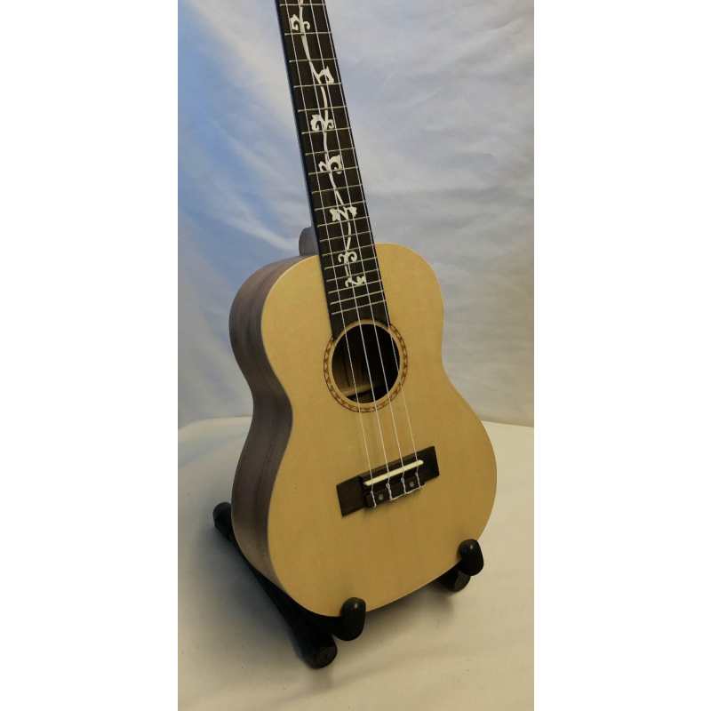Giannini Custom Concert Ukulele & Black Bag