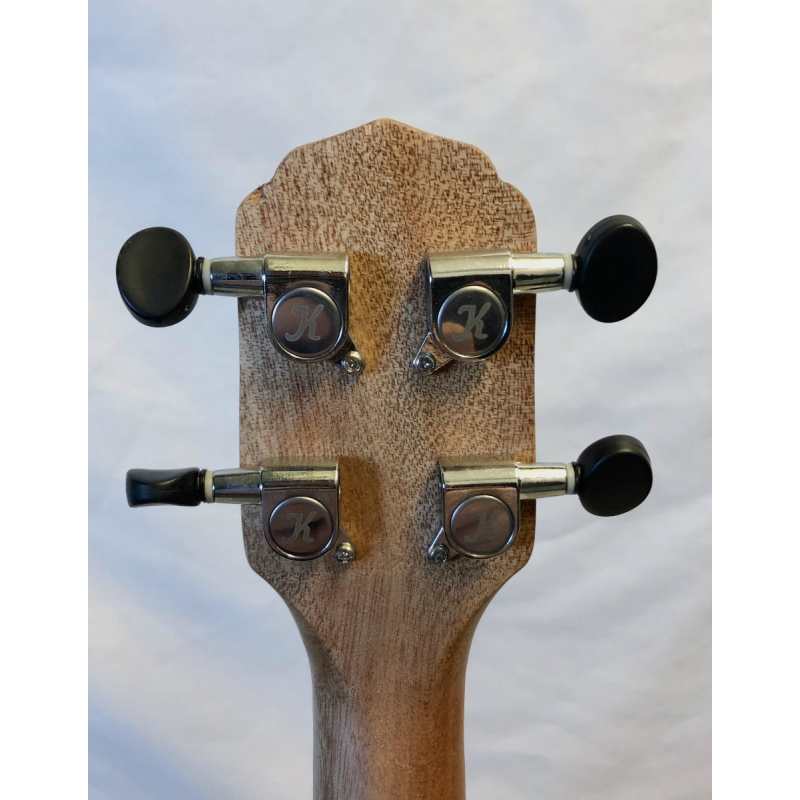 Giannini Custom Concert Ukulele & Black Bag - Image 5