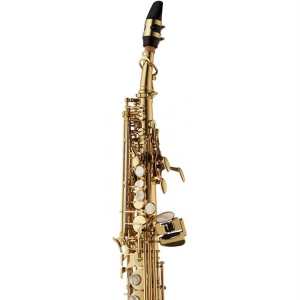 Yanagisawa SWO10 Straight Soprano Brass Saxophone Outfit