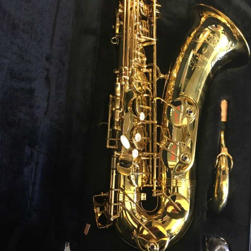 Yanagisawa TWO10U Brass Unlacquered Tenor Saxophone Outfit - Image 8