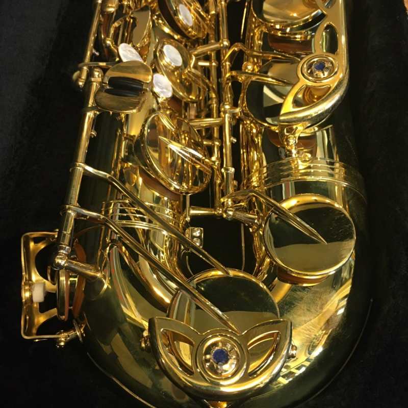 Yanagisawa TWO10U Brass Unlacquered Tenor Saxophone Outfit - Image 7