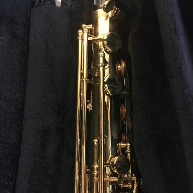 Yanagisawa TWO10U Brass Unlacquered Tenor Saxophone Outfit - Image 11