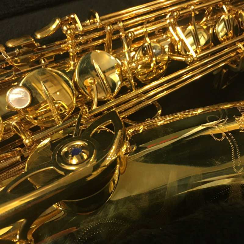 Yanagisawa TWO10U Brass Unlacquered Tenor Saxophone Outfit - Image 3