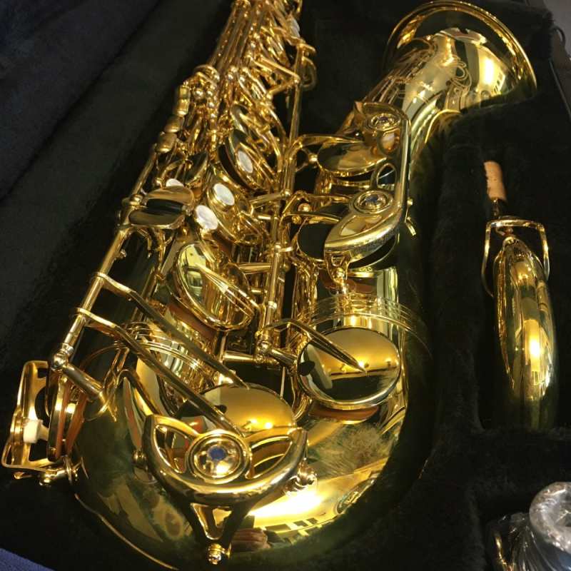 Yanagisawa TWO10U Brass Unlacquered Tenor Saxophone Outfit - Image 2