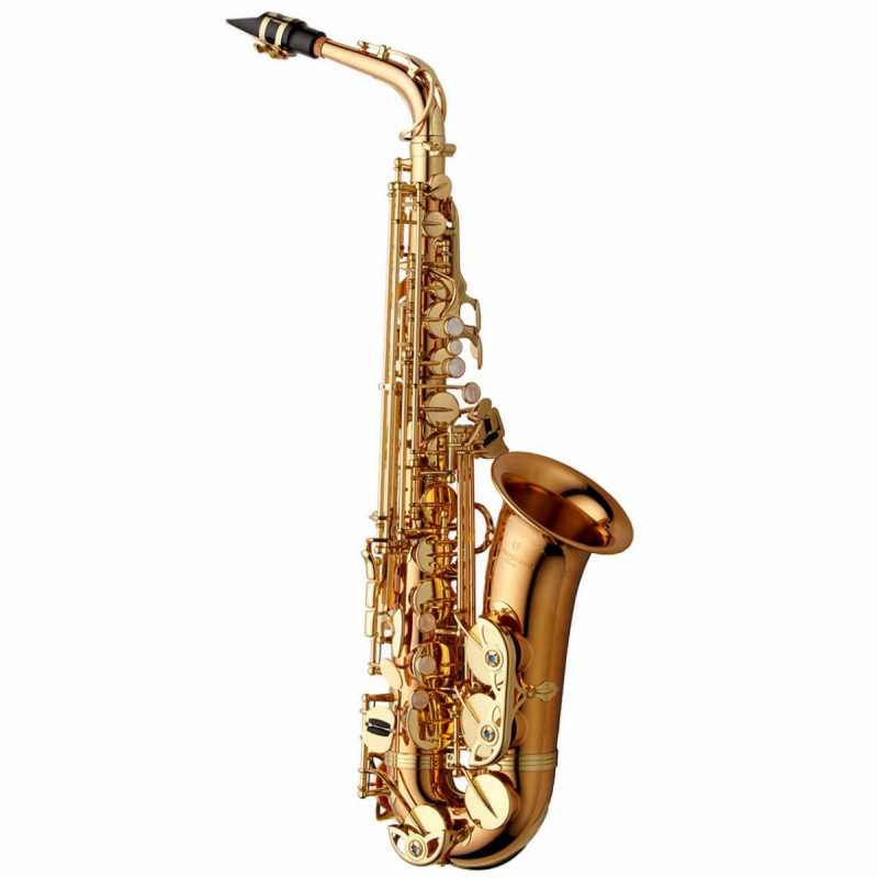 Yanagisawa AWO2 Professional Model Bronze Lacquered Alto Saxophone Outfit - Image 5