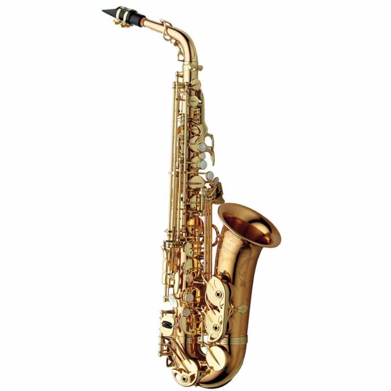 Yanagisawa AWO20U Elite Model Bronze Unlacquered Alto Saxophone Outfit - Image 4