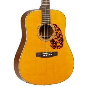 Tanglewood TW40 DANE Dreadnought Electro Acoustic Guitar with Case