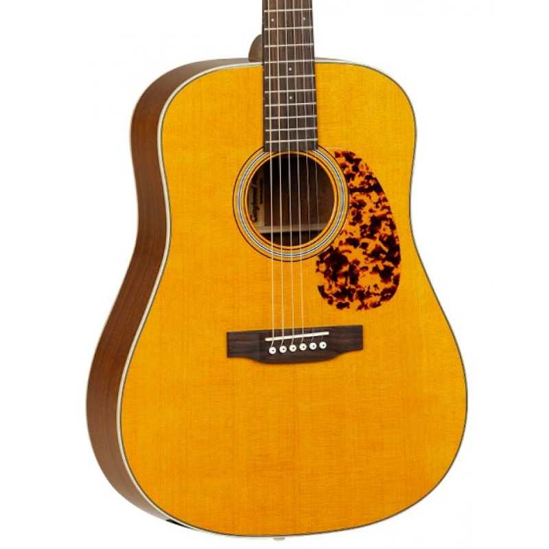 Tanglewood TW40 DANE Dreadnought Electro Acoustic Guitar with Case