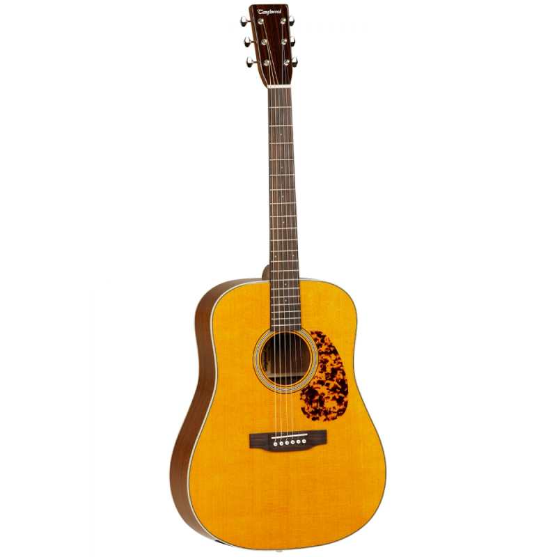 Tanglewood TW40 DANE Dreadnought Electro Acoustic Guitar with Case - Image 2