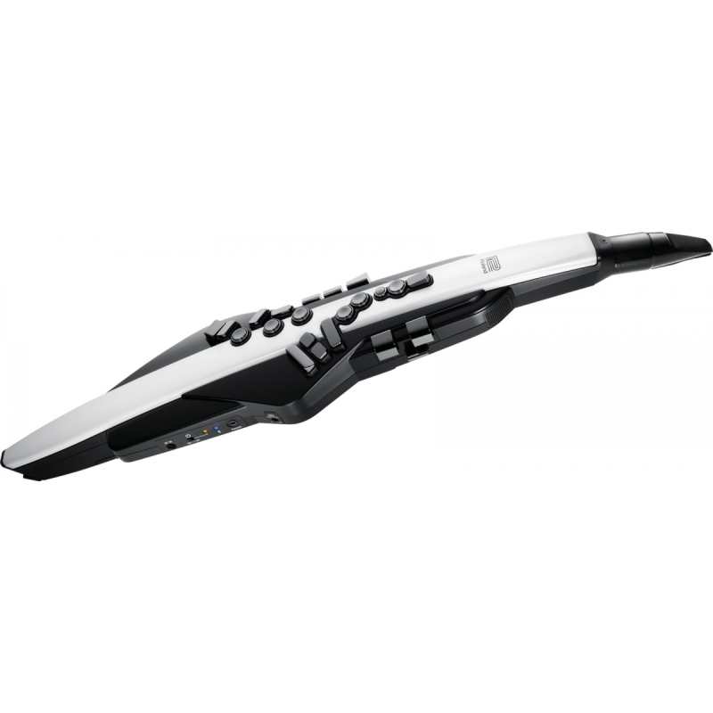 Roland AE20 Digital Wind Instrument - Image 2