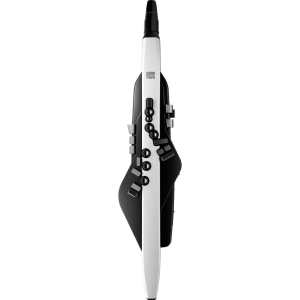 Roland AE20 Digital Wind Instrument