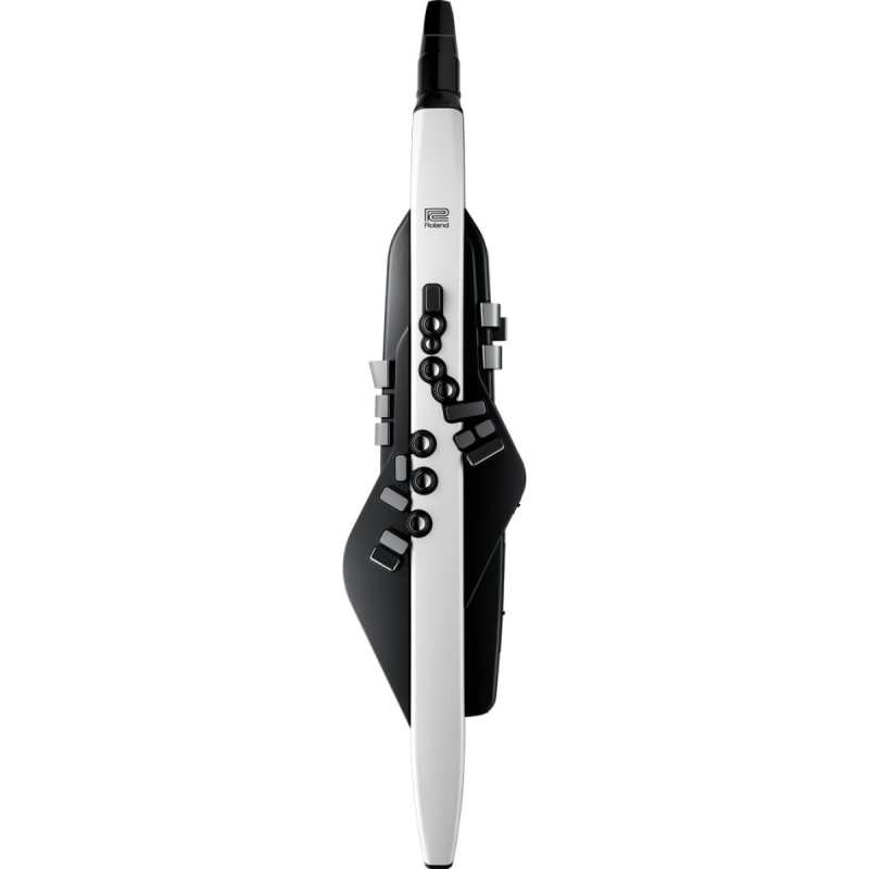 Roland AE20 Digital Wind Instrument