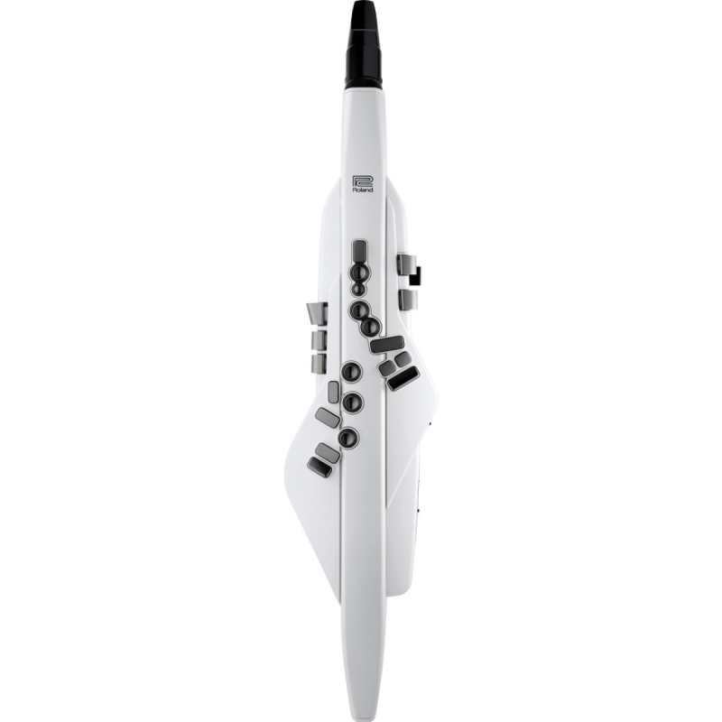 Roland AE20 Digital Wind Instrument, White