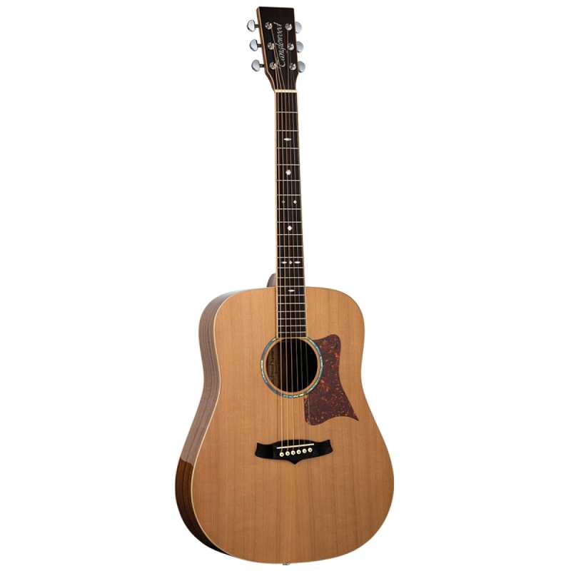 Tanglewood TW15 R Sundance Reserve Dreadnought Acoustic - Image 3